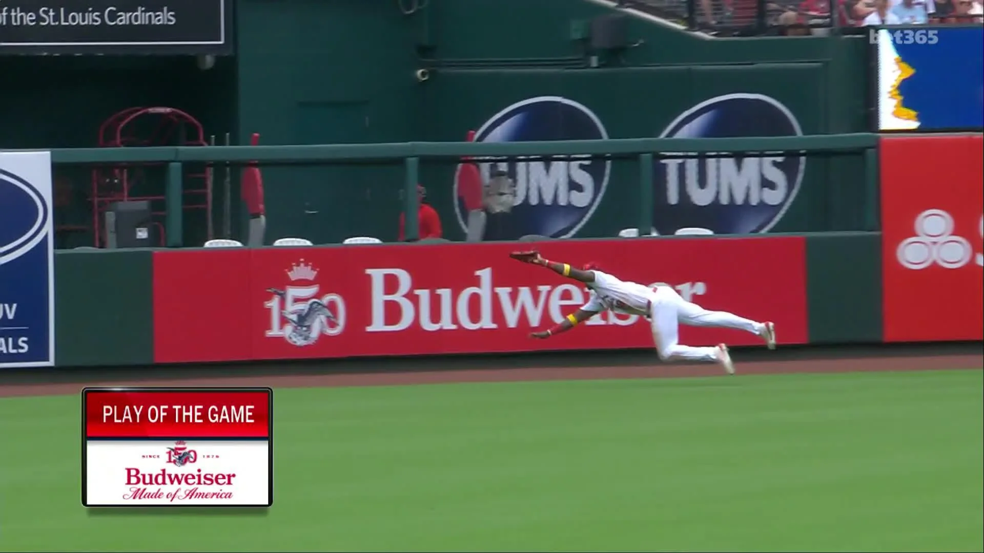 Jordan Walker Makes a Spectacular Diving Catch 🤿